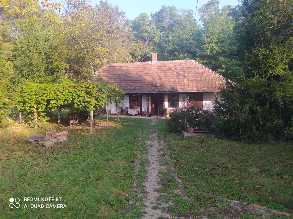 Hotel Fecskefeszek Vendeghaz Őriszentpéter Exterior foto