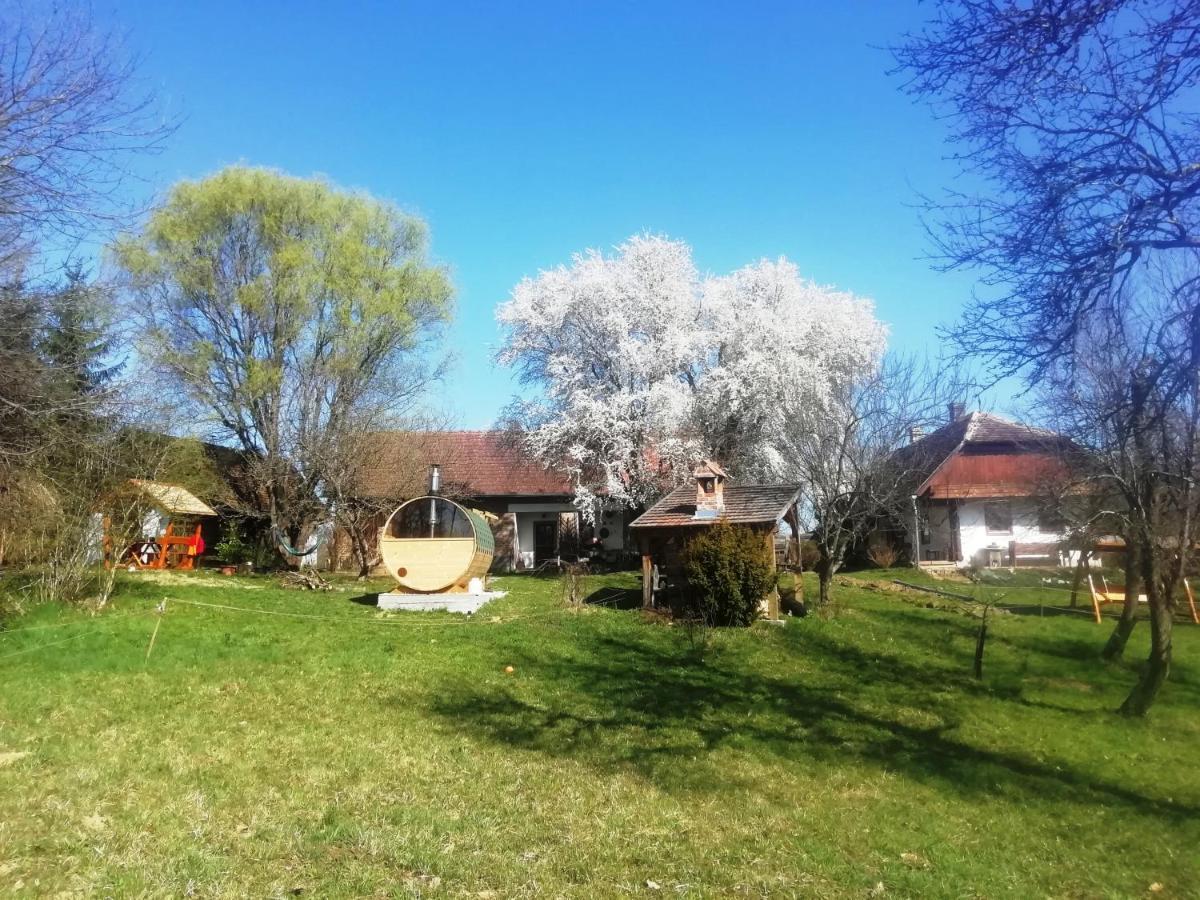 Hotel Fecskefeszek Vendeghaz Őriszentpéter Exterior foto