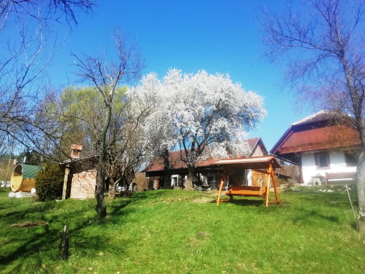 Hotel Fecskefeszek Vendeghaz Őriszentpéter Exterior foto