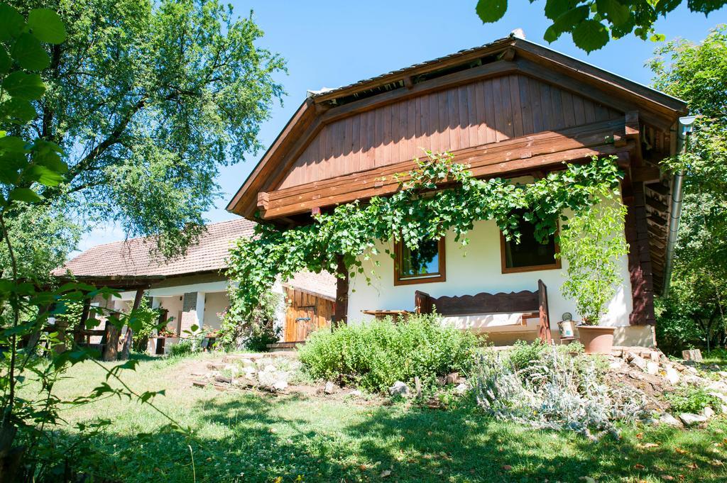Hotel Fecskefeszek Vendeghaz Őriszentpéter Exterior foto