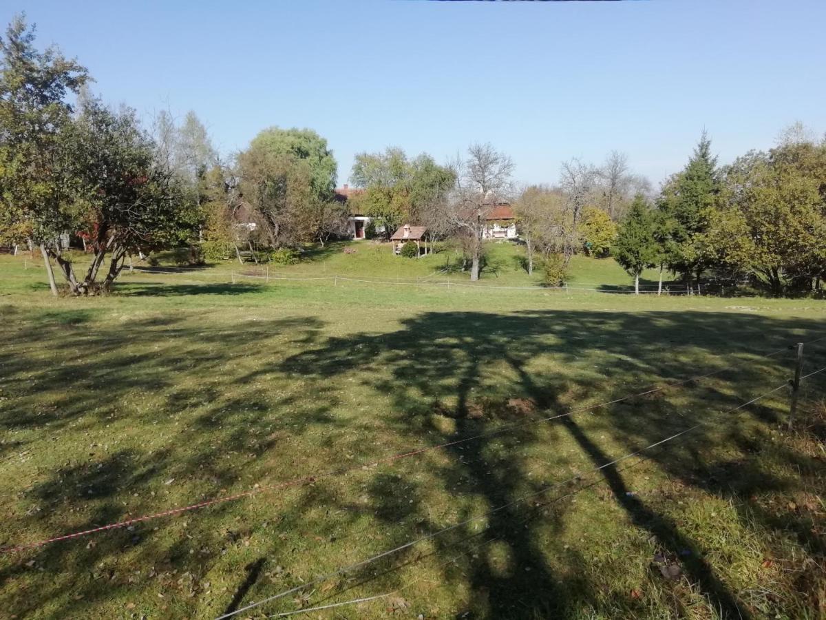 Hotel Fecskefeszek Vendeghaz Őriszentpéter Exterior foto